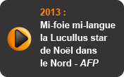 Mi-foie mi-langue, la Lucullus star de Noël dans le Nord - AFP