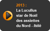 La Lucullus star de Noël des assiettes du Nord - Itélé